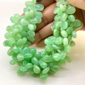 Chrysoprase 11-15mm Smooth Pear Shape A Grade Gemstone Beads Strand - Total 1 Strand of 8 Inch.