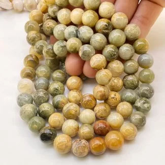 Cats Eye 10-11mm Smooth Round Shape A+ Grade Gemstone Beads Lot - Total 7 Strands of 13 Inch.