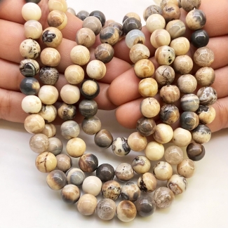 Agate 8.5-9mm Smooth Round Shape A Grade Gemstone Beads Lot - Total 10 Strands of 13 Inch.