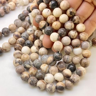 Agate 9.5-10mm Smooth Round Shape A Grade Gemstone Beads Lot - Total 9 Strands of 13 Inch.