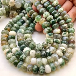 Tree Agate 9-11mm Smooth Rondelle Shape AA Grade Gemstone Beads Lot - Total 10 Strands of 13 Inch.