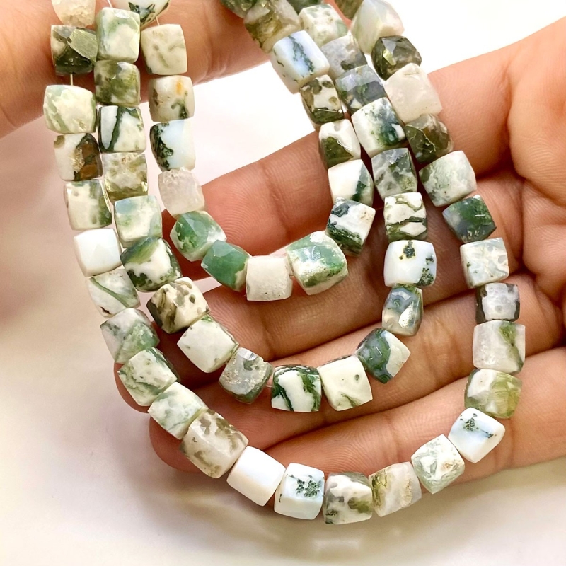 Tree Agate 6-7mm Faceted Cube Shape AA Grade Gemstone Beads Lot - Total 7 Strands of 8 Inch.