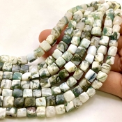 Tree Agate 6-7mm Faceted Cube Shape AA Grade Gemstone Beads Lot - Total 7 Strands of 8 Inch.
