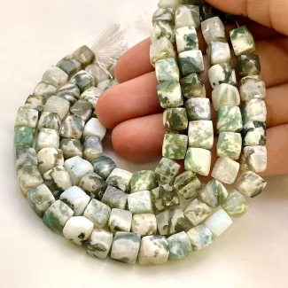 Tree Agate 6-7mm Faceted Cube Shape AA Grade Gemstone Beads Lot - Total 7 Strands of 8 Inch.
