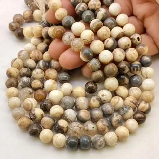 Agate 8.5-9mm Smooth Round Shape A Grade Gemstone Beads Lot - Total 9 Strands of 13 Inch.