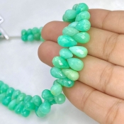 Chrysoprase 7-10mm Briolette Drop Shape AA Grade Gemstone Beads Strand - Total 1 Strand of 8 Inch.