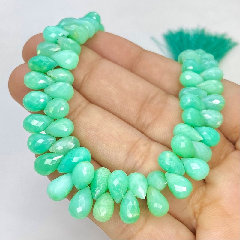 Chrysoprase 7-10mm Briolette Drop Shape AA Grade Gemstone Beads Strand - Total 1 Strand of 8 Inch.