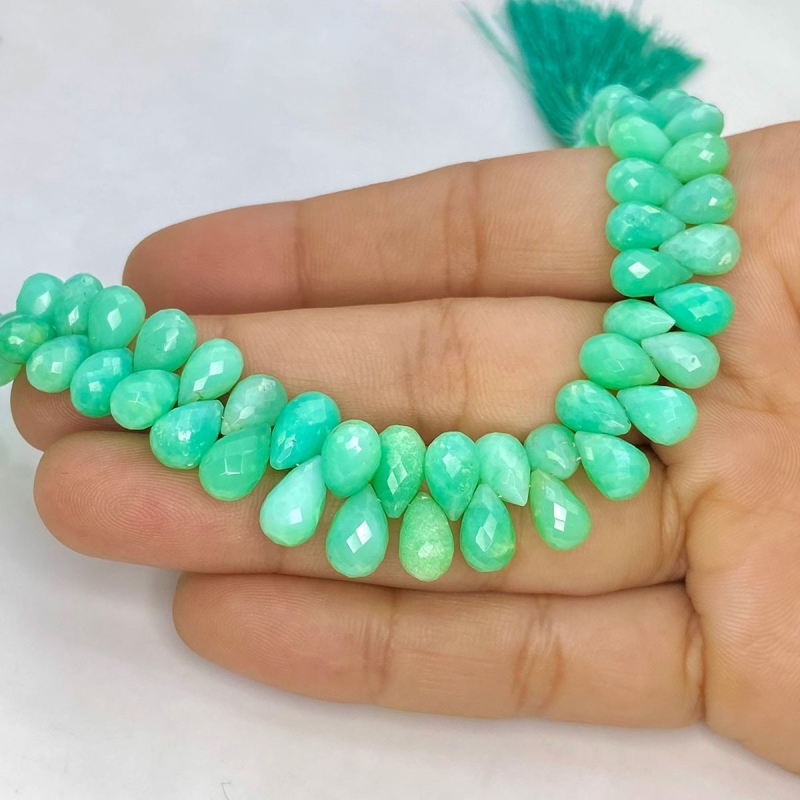 Chrysoprase 7-10mm Briolette Drop Shape AA Grade Gemstone Beads Strand - Total 1 Strand of 8 Inch.