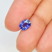 Blue Sapphire 7.33x5.69mm Faceted Cushion AA+ Grade Loose Gemstone - 157678