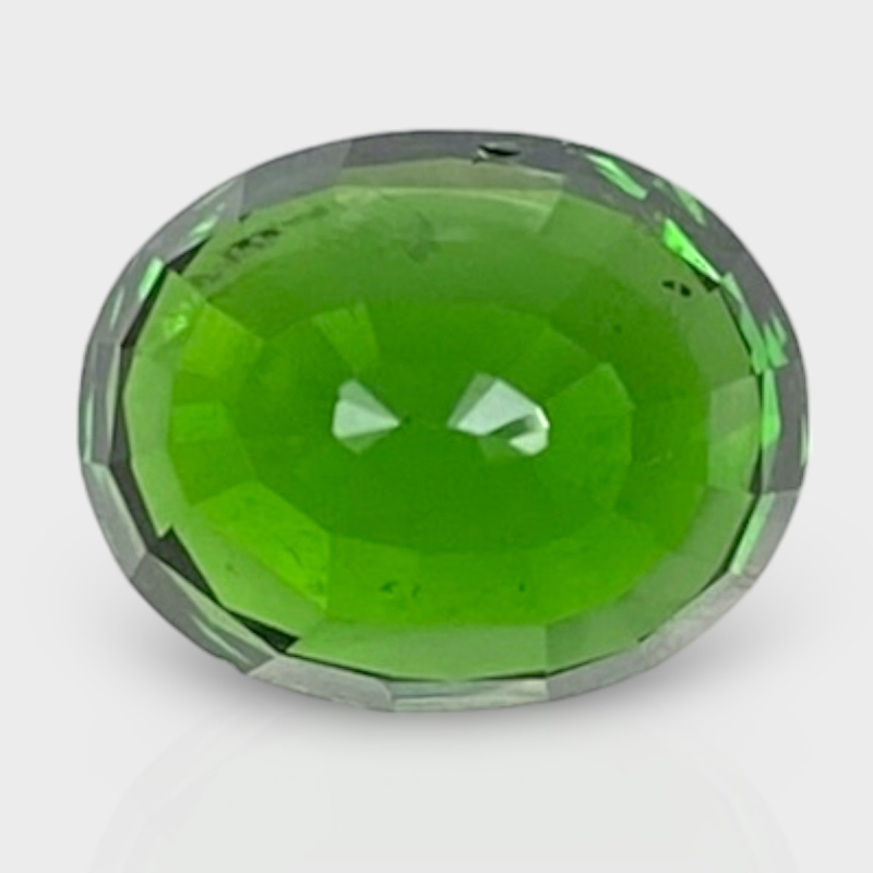 Tsavorite Garnet 10.15x8.20mm Faceted Oval AAA+ Loose Gemstone - 170296