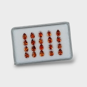 Hessonite Garnet 6x4mm Faceted Pear AAA Gemstones Parcel - 170292