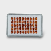 Hessonite Garnet 5x3mm Faceted Oval AAA Gemstones Parcel - 170279