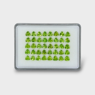 27.62 Cts. Peridot 6mm Faceted Trillion Shape AA+ Grade Gemstones Parcel - Total 40 Pc.