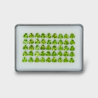 31.64 Cts. Peridot 6mm Faceted Trillion Shape AA+ Grade Gemstones Parcel - Total 45 Pc.