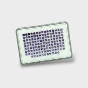 Iolite 3-3.5mm Step Cut Square AAA Gemstones Parcel - 180665