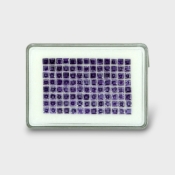 32.94 Cts. Iolite 4mm Step Cut Square Shape AAA Grade Gemstones Parcel - Total 104 Pc.