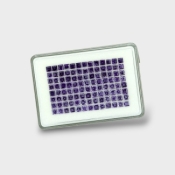 Iolite 4mm Step Cut Square AAA Gemstones Parcel - 180638