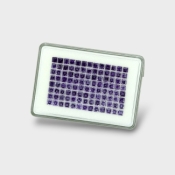 Iolite 4mm Step Cut Square AAA Gemstones Parcel - 180638