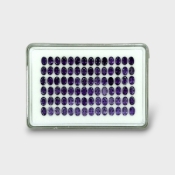 33.24 Cts. Iolite 6x4mm Faceted Oval Shape AAA Grade Gemstones Parcel - Total 84 Pc.