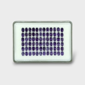 29.19 Cts. Iolite 6x4mm Faceted Oval Shape AAA Grade Gemstones Parcel - Total 72 Pc.