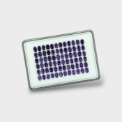 Iolite 6x4mm Faceted Oval AAA Gemstones Parcel - 180603