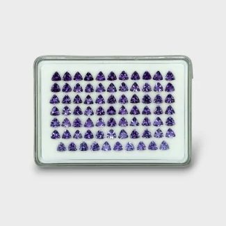 29.2 Cts. Iolite 5mm Faceted Trillion Shape AAA Grade Gemstones Parcel - Total 76 Pc.