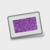 African Amethyst 3mm Step Cut Square AAA Gemstones Parcel - 180296