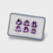 Brazilian Amethyst 10mm Faceted Trillion AA+ Gemstones Parcel - 180354