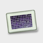 Iolite 4mm Step Cut Square AAA Gemstones Parcel - 180636