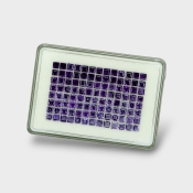 Iolite 4mm Step Cut Square AAA Gemstones Parcel - 180636