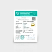 Yellow Sapphire 12.04X8.60X5.80mm Faceted Cushion AA+ Loose Gemstone - 181768