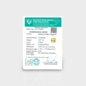 Yellow Sapphire 10X8.12X4.30mm Step Cut Octagon AA+ Loose Gemstone - 181853