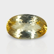 Citrine 19.41x12.04mm Checkerboard Oval AA Loose Gemstone - 180535
