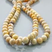 Fossil Coral 8mm Smooth Round AA Gemstone Beads Lot - 182534