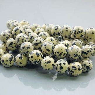 Dalmatian Jasper 10mm Smooth Round AAA Gemstone Beads Lot - 182610