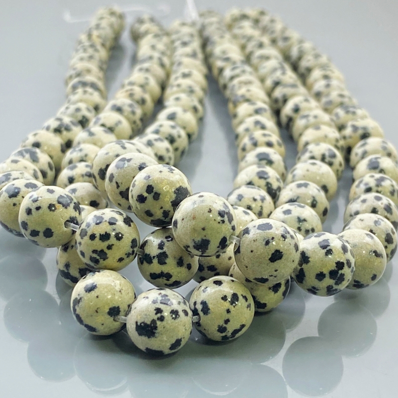 Dalmatian Jasper 10mm Smooth Round AAA Gemstone Beads Lot - 182610