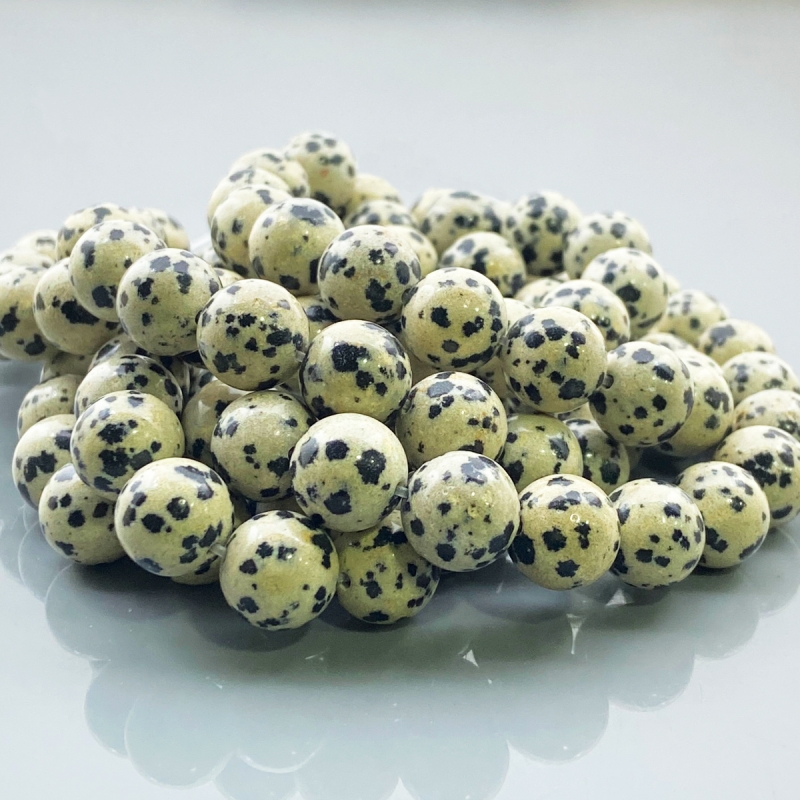 Dalmatian Jasper 10mm Smooth Round AAA Gemstone Beads Lot - 182610