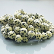 Dalmatian Jasper 10mm Smooth Round AAA Gemstone Beads Lot - 182610