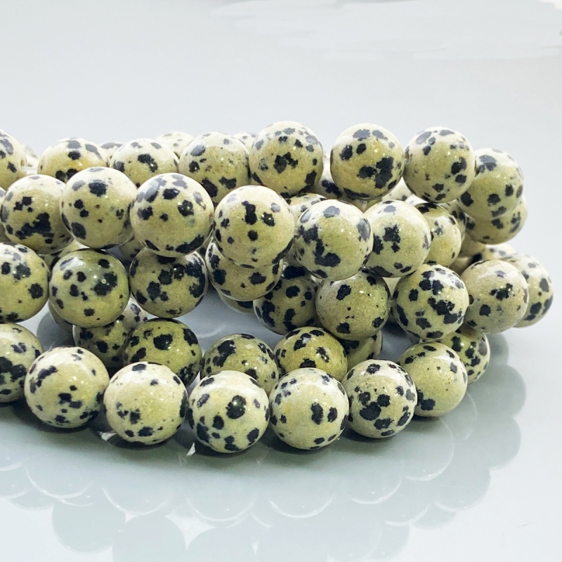 Dalmatian Jasper 10mm Smooth Round AAA Gemstone Beads Lot - 182610