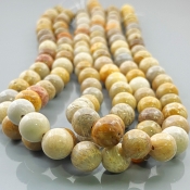 Fossil Coral 10mm Smooth Round AA Gemstone Beads Lot - 182613