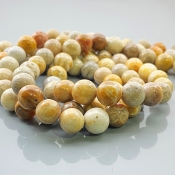 Fossil Coral 10mm Smooth Round AA Gemstone Beads Lot - 182613