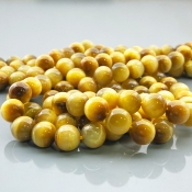 Star Tiger Eye 10mm Smooth Round AAA Gemstone Beads Lot - 182644