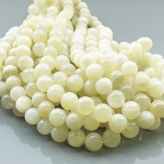White Moonstone 10mm Smooth Round AAA Gemstone Beads Lot - 182873