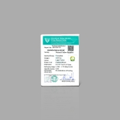 Yellow Sapphire 9.19X7.60x6.20mm Faceted Cushion B Loose Gemstone - 182229