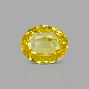 Yellow Sapphire 10.95X8.94X6.50mm Faceted Oval AA+ Loose Gemstone - 181847