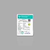 Yellow Sapphire 7.77x6.82mm Faceted Cushion AA Loose Gemstone - KS021-180938