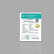 Yellow Sapphire 11.37x8.59x6.90mm Faceted Oval AA Loose Gemstone - AE001-183039