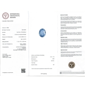 Blue Sapphire 11.33x9.73x5.38mm Faceted Oval AA Loose Gemstone - SH01A-183567