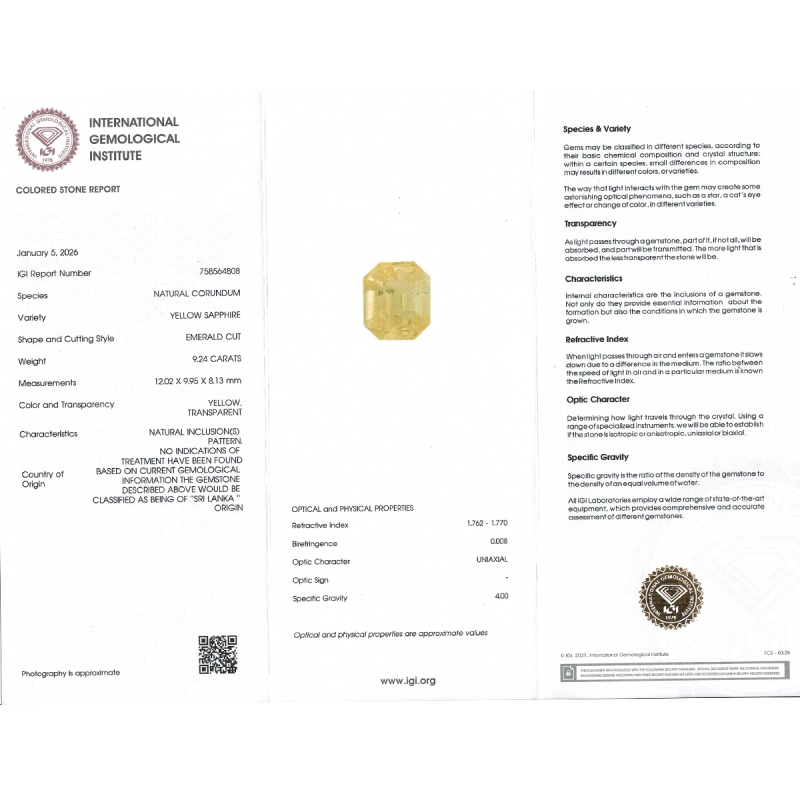 Yellow Sapphire 12.02X9.95X8.13mm Step Cut Octagon AA Loose Gemstone - SH01C-183539