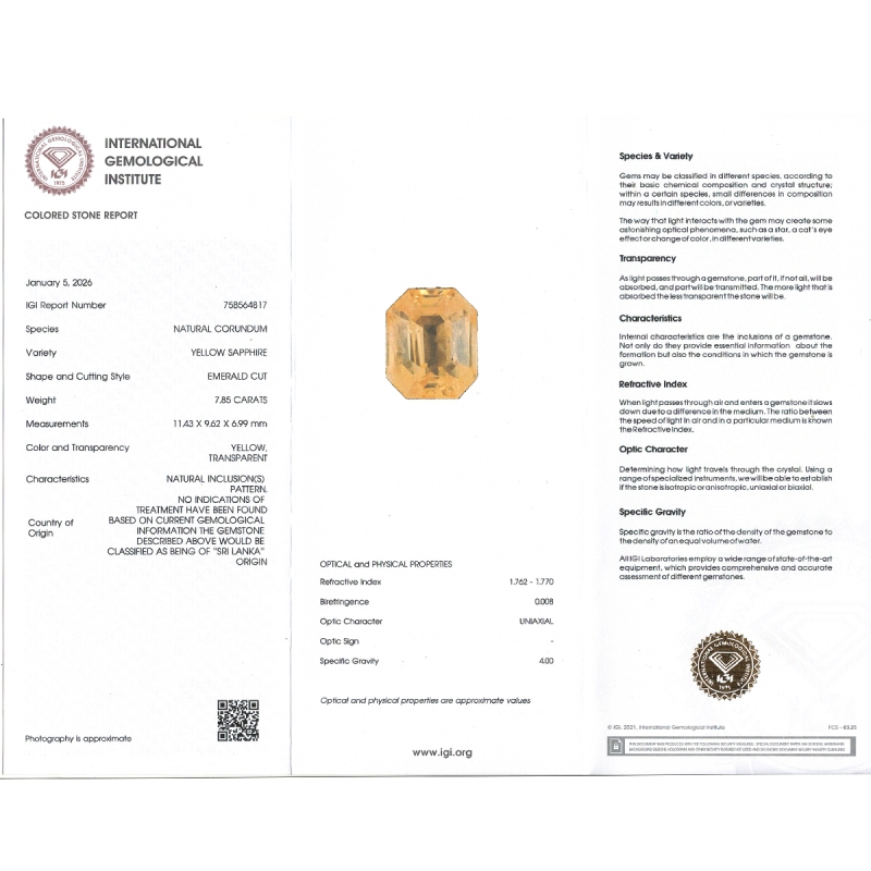 Yellow Sapphire 11.43x9.62x6.99mm Step Cut Octagon AA Loose Gemstone - SH01G-183544